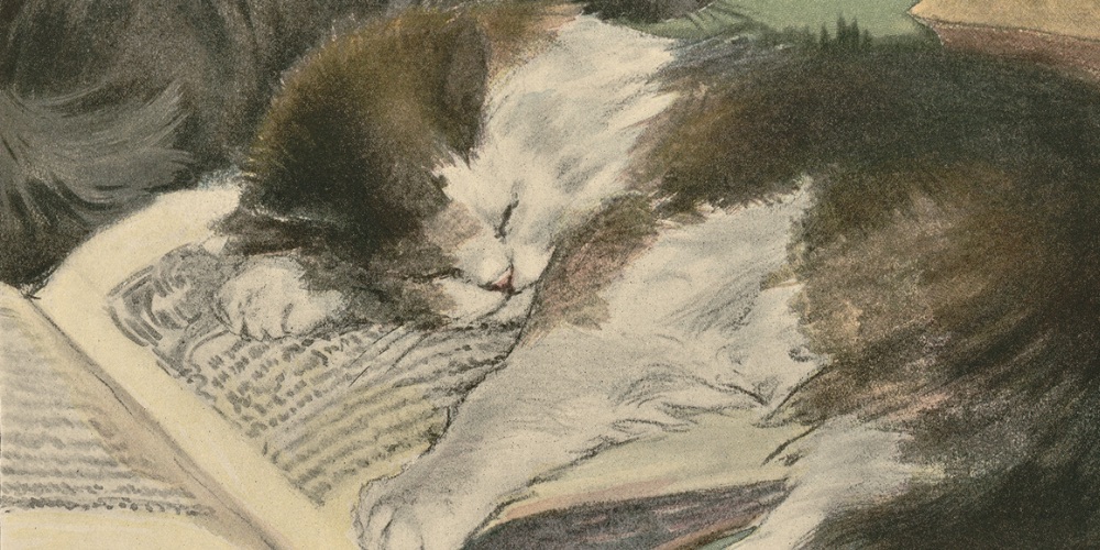 Drawing The Book of the Cat by Elizabeth F. Bonsall