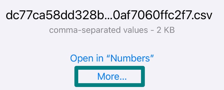Tap More... to download the CSV file to your device.